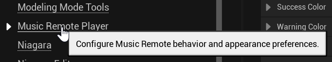 Project Settings - Music Remote Player selected